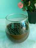 Puding Coklat