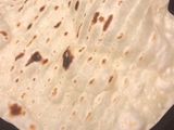 Tortilla
