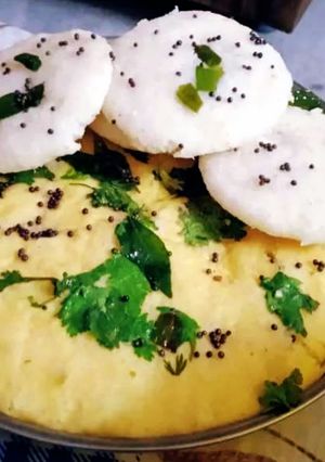 A picture of Instant Idli Dhokla.