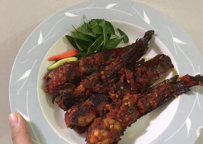 Ini dia! Cara  membuat Lele bakar balado yang lezat