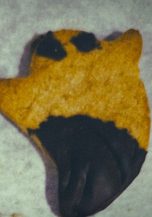 Una foto de Galletas de calabaza 🎃 Halloween