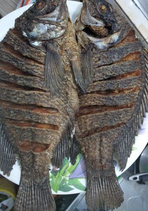 A picture of Fried fish.