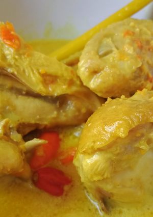 Foto resep Ayam Lodho Setan