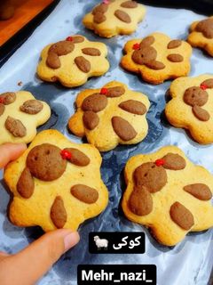 عکسی از دستور کوکی ببعی