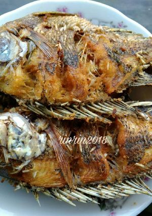 Foto resep Ikan Mujair Goreng