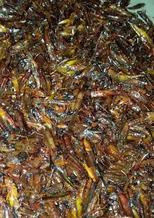 Foto resep Belalang Gurih Manis Dan Pedas