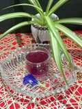 Healthy Herbal Butterfly Pea Flower Tea