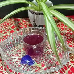 A picture of Healthy Herbal Butterfly Pea Flower Tea.