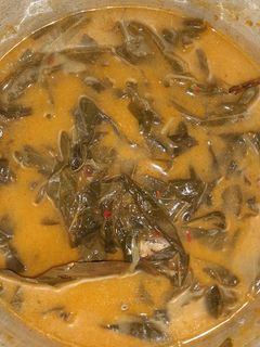 Foto resep Sayur daun singkong teri medan