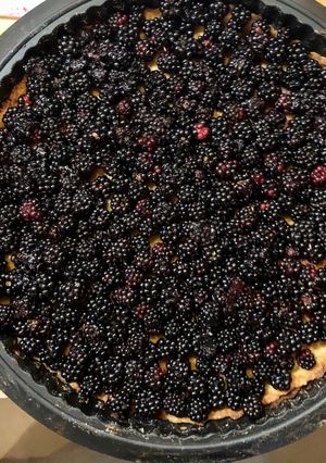 Une photo de Tarte aux mûres