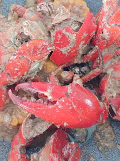 Foto resep Kepiting Saos Padang