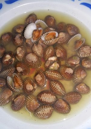 Foto resep Kerang rebus bumbu kunci segaar