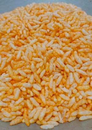 A picture of Vagharela mamra.