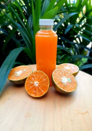 Foto resep Jeruk Peras Ponti