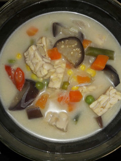 Foto resep Sayur lodeh kuah susu