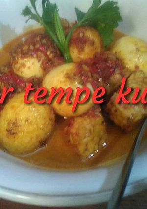 Foto resep Telur tempe kuah