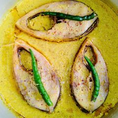 A picture of Hilsa Bhapa.