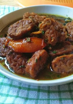 Foto resep Teltem kecap mantap