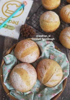 Foto resep Sourdough Hybrid Gandum Polos