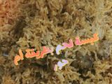 كبسة لحم بطريقة أم حور
