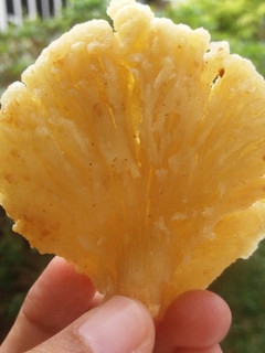 Foto resep Jamur Super Crispy