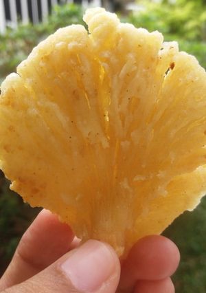 Foto resep Jamur Super Crispy