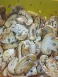 Champiñones a la provenzal