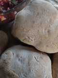 Pan pita