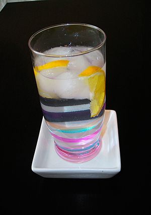 Foto principal de London Dry Gin con tónica