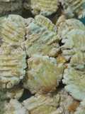 Kue kering Corn Flakes