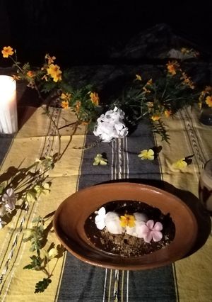 Una foto de Mousse de plátano en salsa de chocolate y tierra de nuez