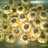 Peanut Crumble Cookies