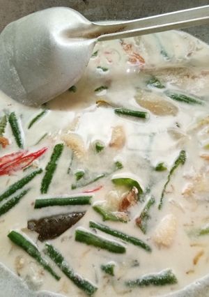 Foto resep Sayur lodeh sederhana