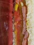 Spam sandwich
