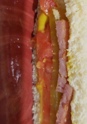 A picture of Spam sandwich.