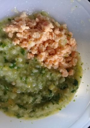Foto resep Bubur tim bayam tumis udang (mpasi 9+)