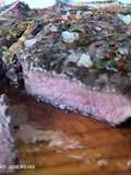 Entrecot de vaca rubia gallega