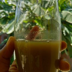 A picture of Immunity Booster.