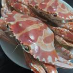 Chiu Chow Cold Crab 潮州凍蟹