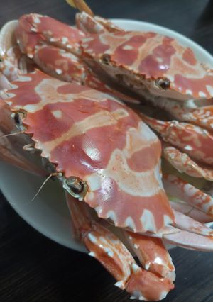 A picture of Chiu Chow Cold Crab 潮州凍蟹.