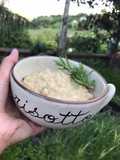 Risotto alla gricia