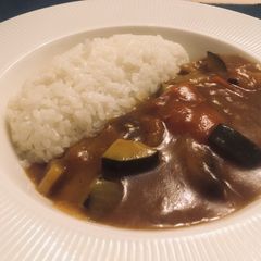 A picture of Vegetable curry with rice 🍛.