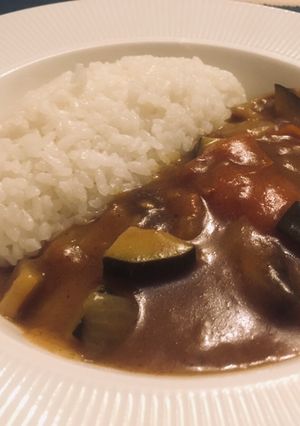 A picture of Vegetable curry with rice 🍛.