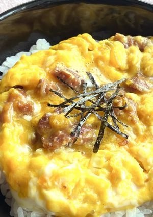 A picture of Quick Oyakodon with Canned Yakitori.