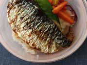 A picture of grilled mackerel