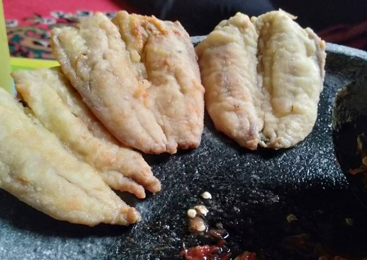 makanan Ikan layang kipas yang Sempurna