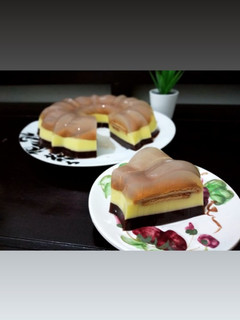 Foto resep Puding regal