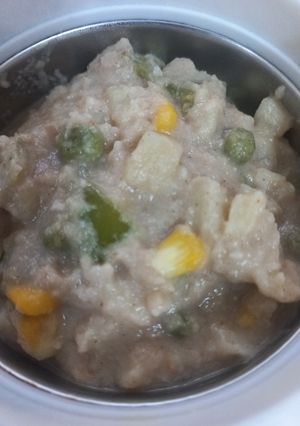 A picture of Mix Veg in White Gravy.