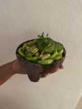 Aguachile Verde 🥑
