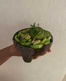 Aguachile Verde 🥑